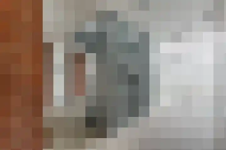 St. Janskerkhof 19 g Culemborg thumbnail 16