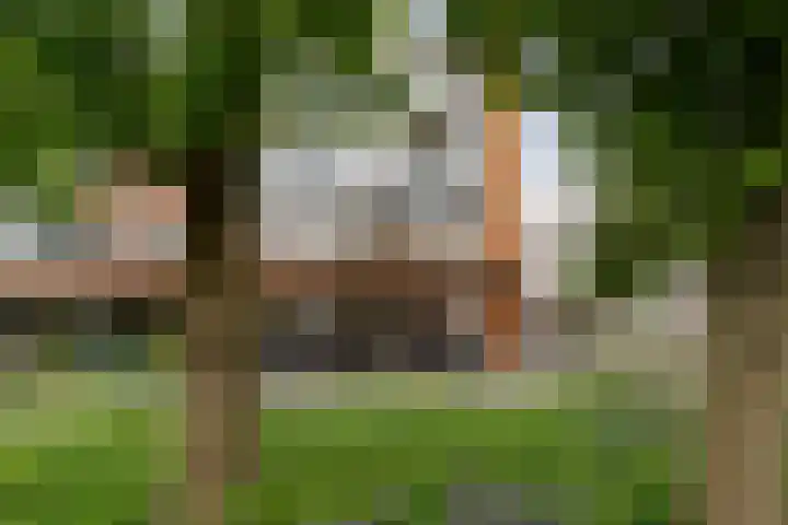 St. Jansplein 130 Waalwijk thumbnail 29