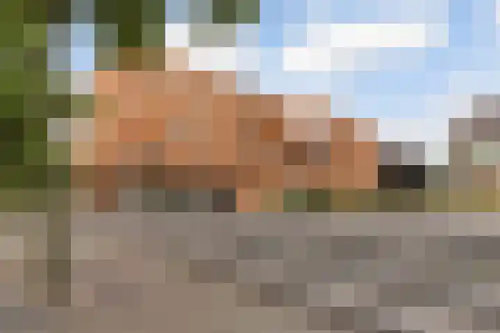 St. Jansplein 130 Waalwijk thumbnail 5