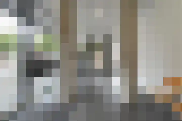 St. Jansplein 130 Waalwijk thumbnail 6