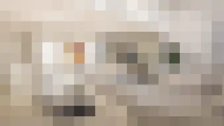 St. Jansstraat 18 a in Meterik