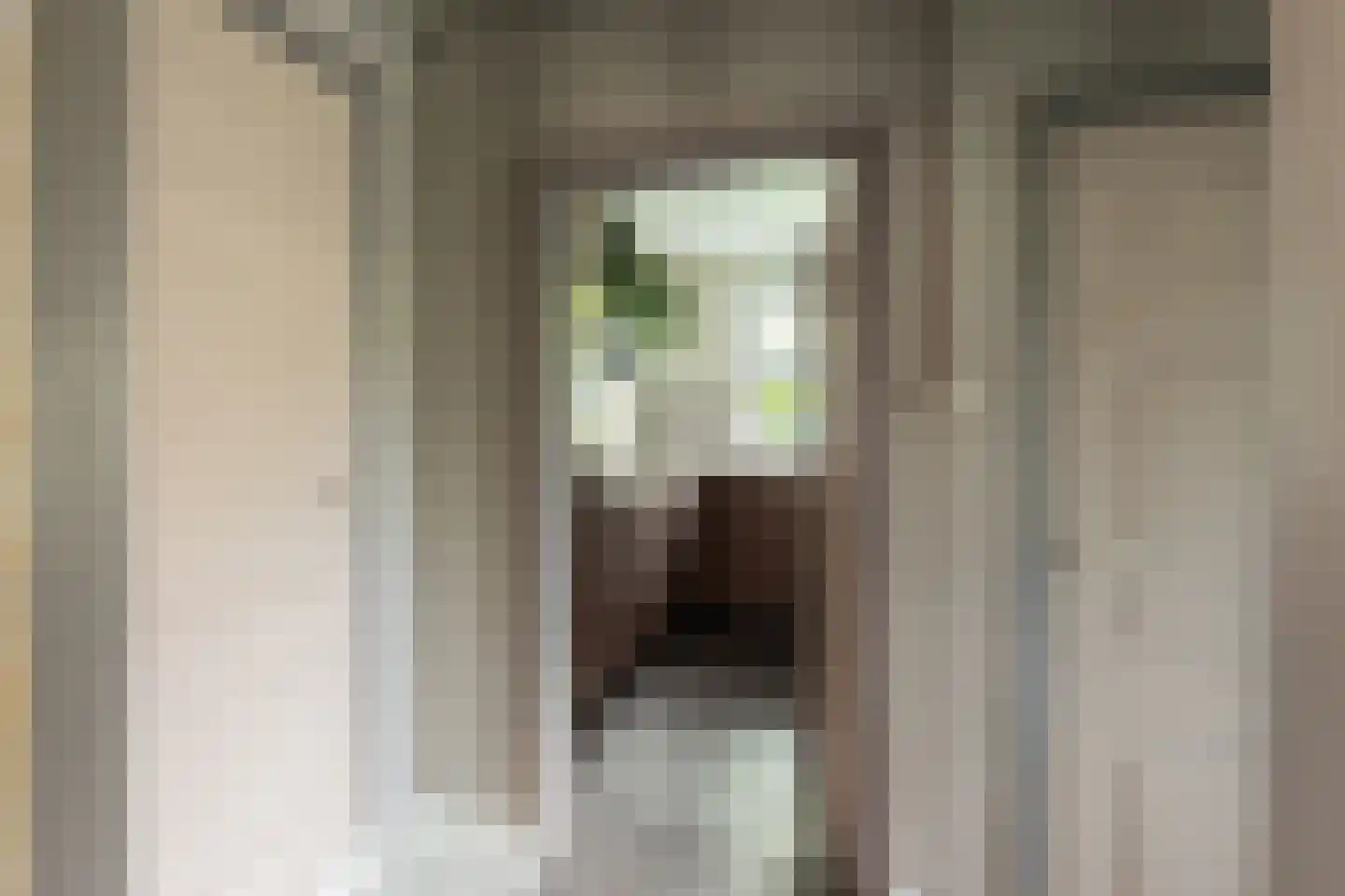 St. Jansstraat 4 Kloosterburen thumbnail 13