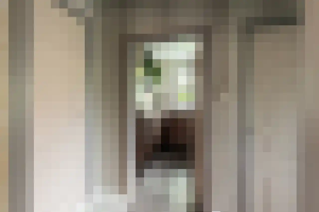St. Jansstraat 4 Kloosterburen thumbnail 16