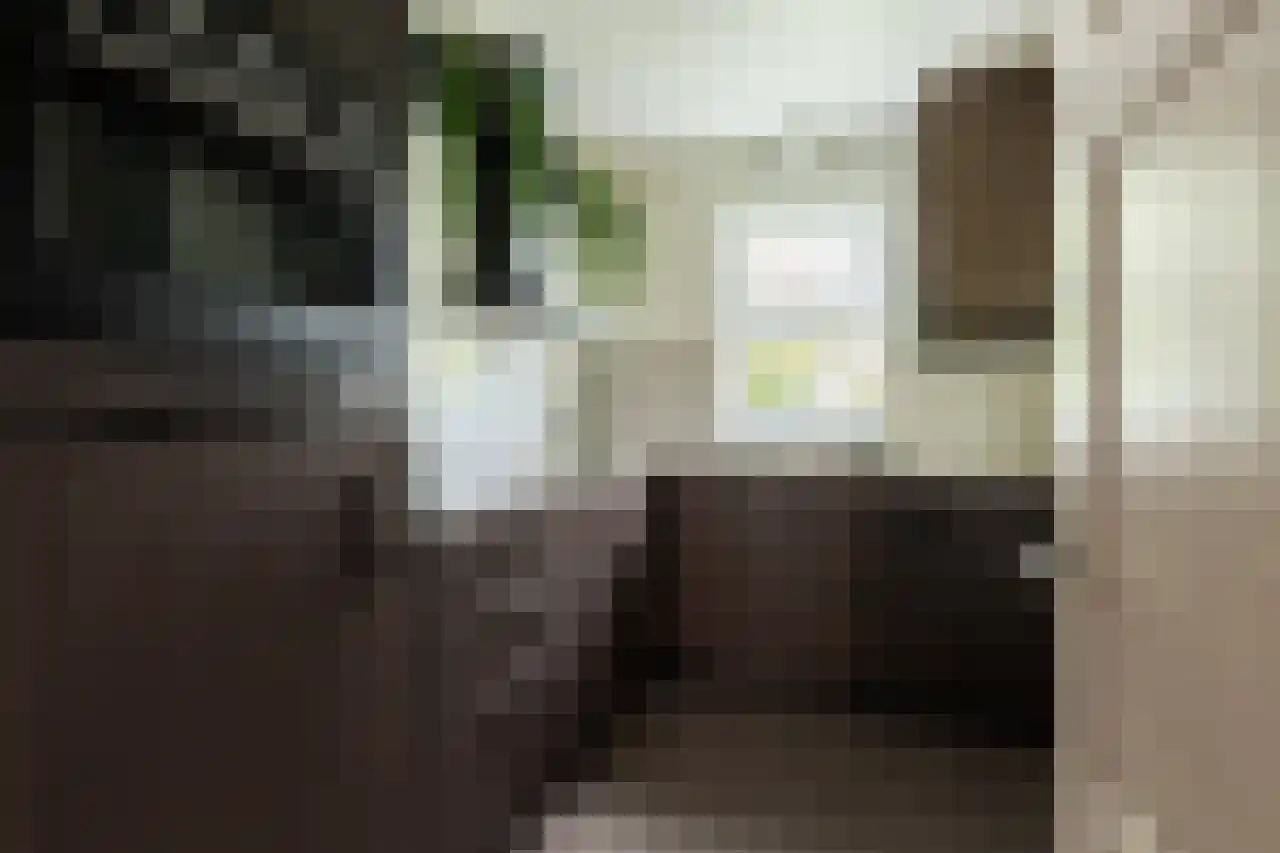 St. Jansstraat 4 Kloosterburen thumbnail 17