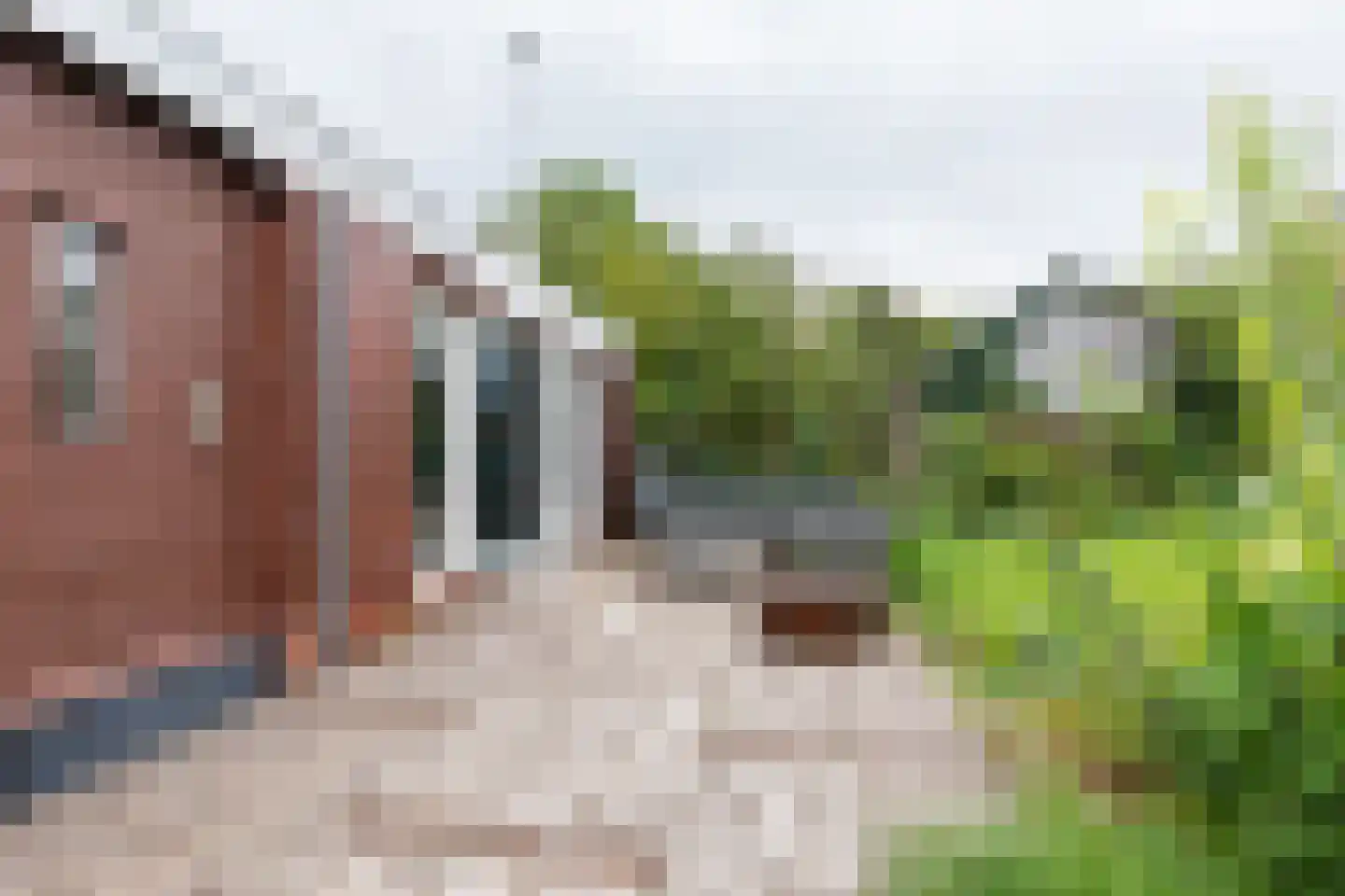 St. Jansstraat 4 Kloosterburen thumbnail 51