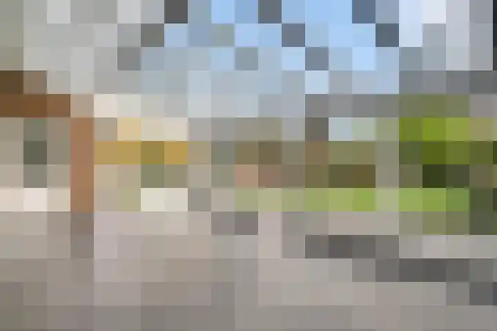 St. Jansstraat 60 Meterik thumbnail 33