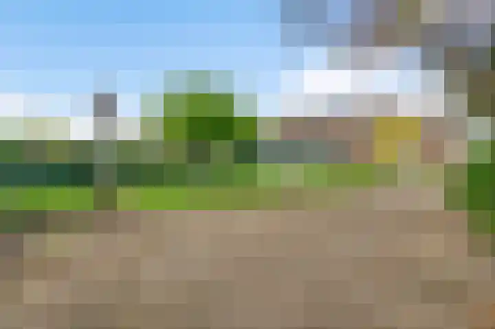 St. Jansstraat 60 Meterik thumbnail 4