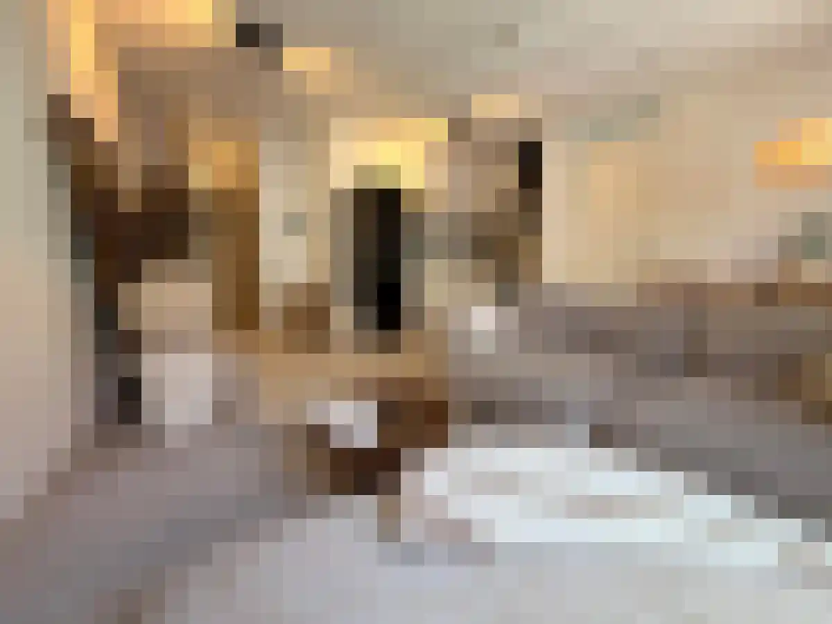 St. Jansteeg 3 Woerden thumbnail 6