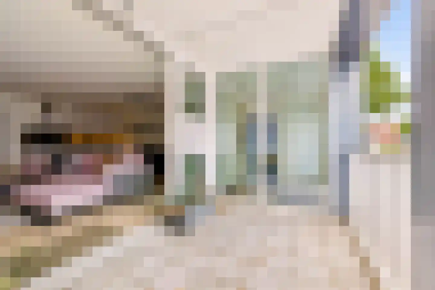 St. Janstraat 22 Uden thumbnail 31