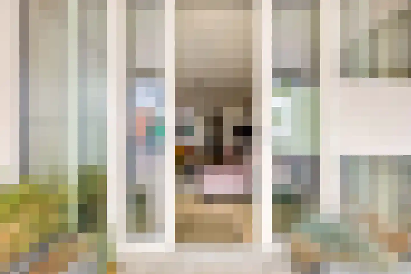 St. Janstraat 22 Uden thumbnail 32