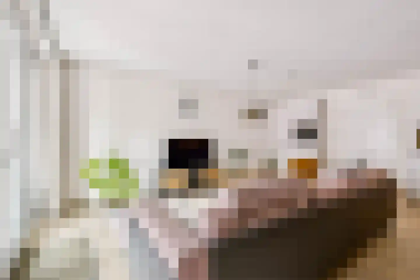 St. Janstraat 22 Uden thumbnail 8