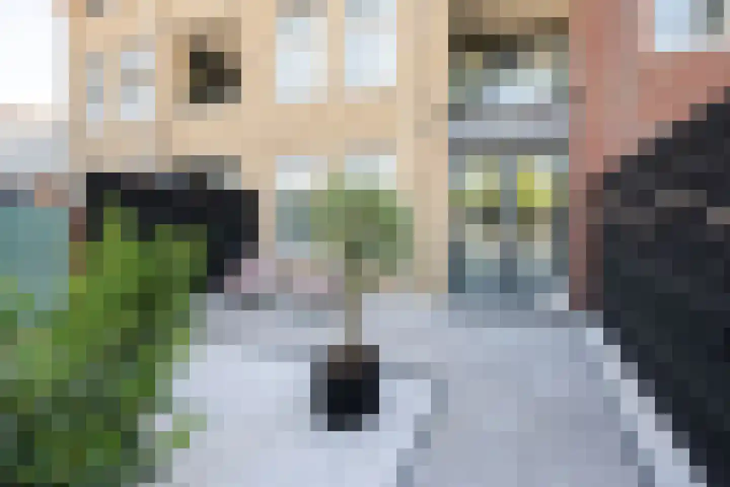 St. Janstraat 29 d Hoeven thumbnail 16