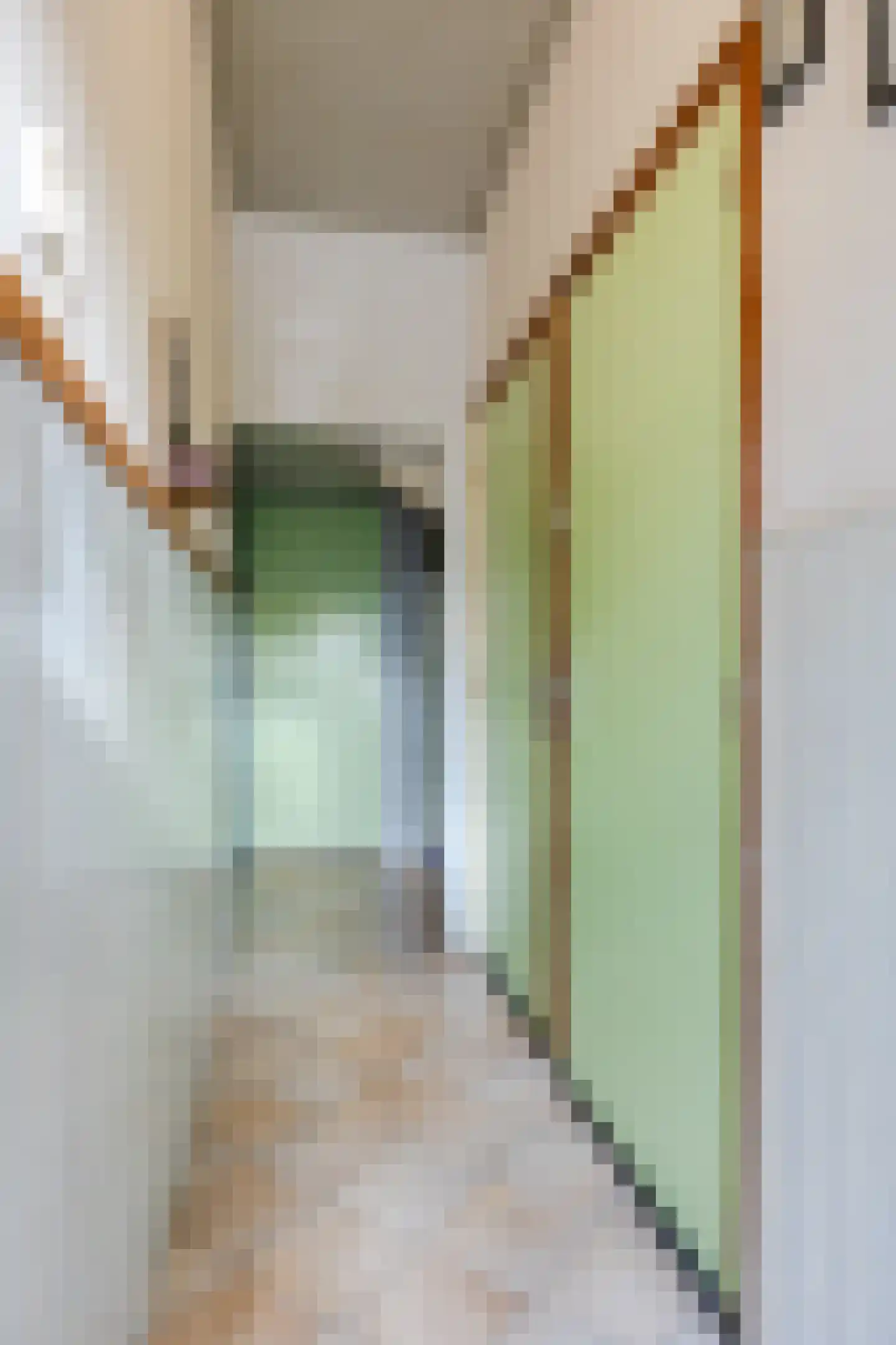 St. Janstraat 47 Hoeven thumbnail 27