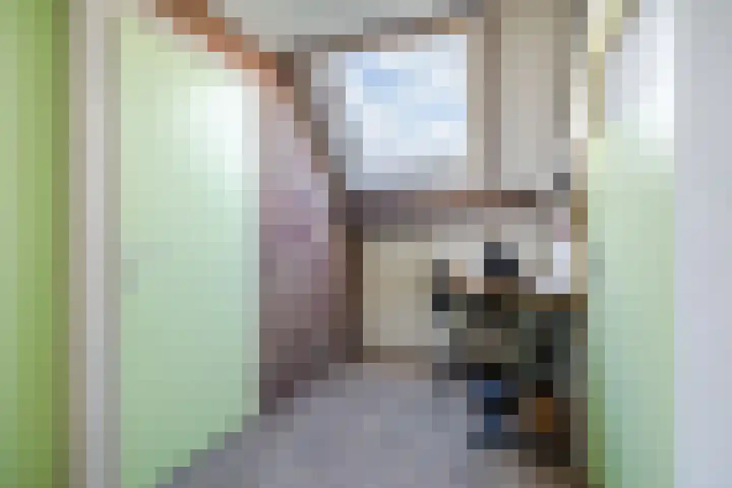 St. Janstraat 47 Hoeven thumbnail 33