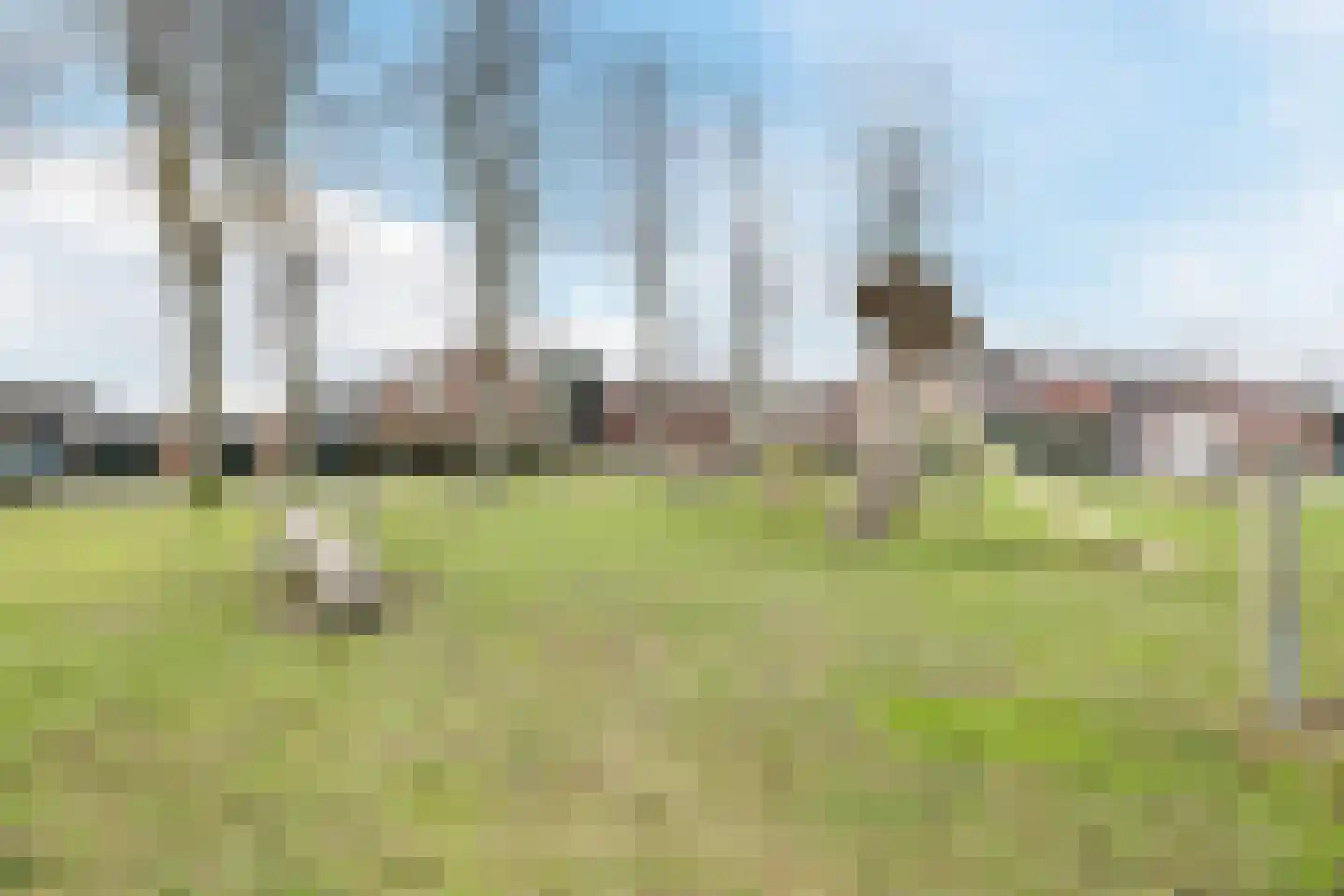 St. Janstraat 47 Hoeven thumbnail 54