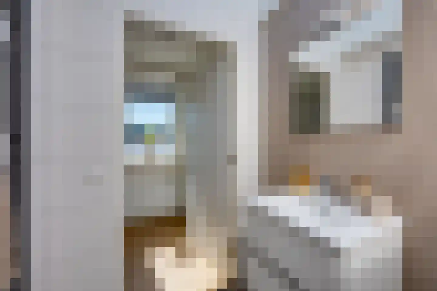 St. Janstraat 8 d Hoeven thumbnail 18