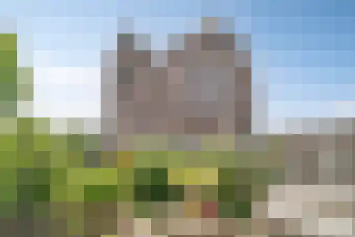 St Jansvoort 5 c Gassel thumbnail 28