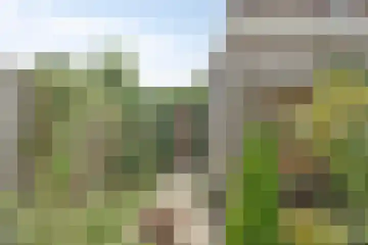 St Jansvoort 5 c Gassel thumbnail 29