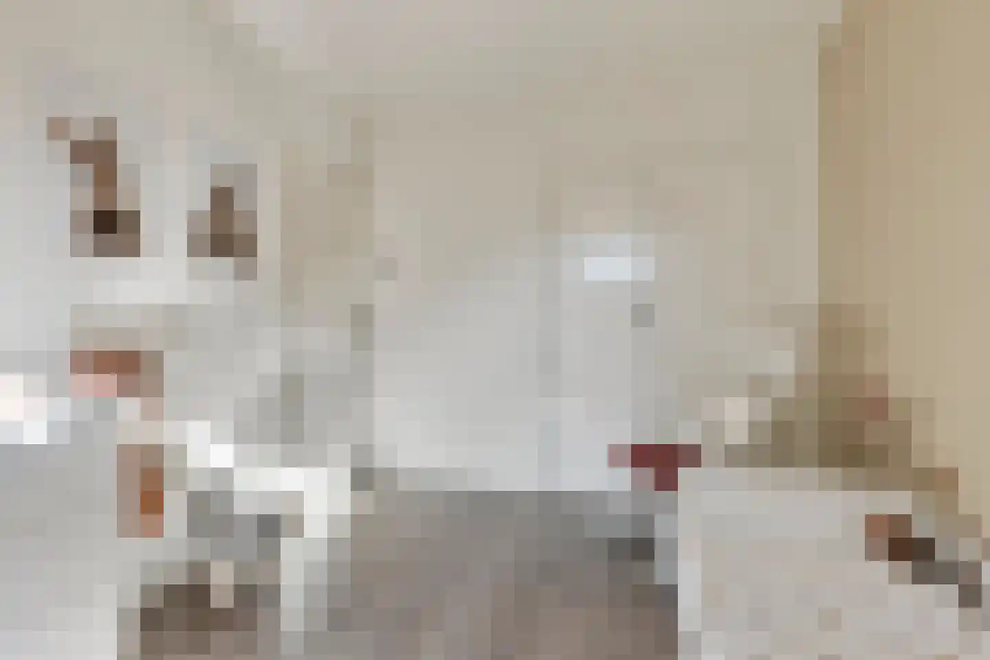 St Jansweg 21 Eindhoven thumbnail 29