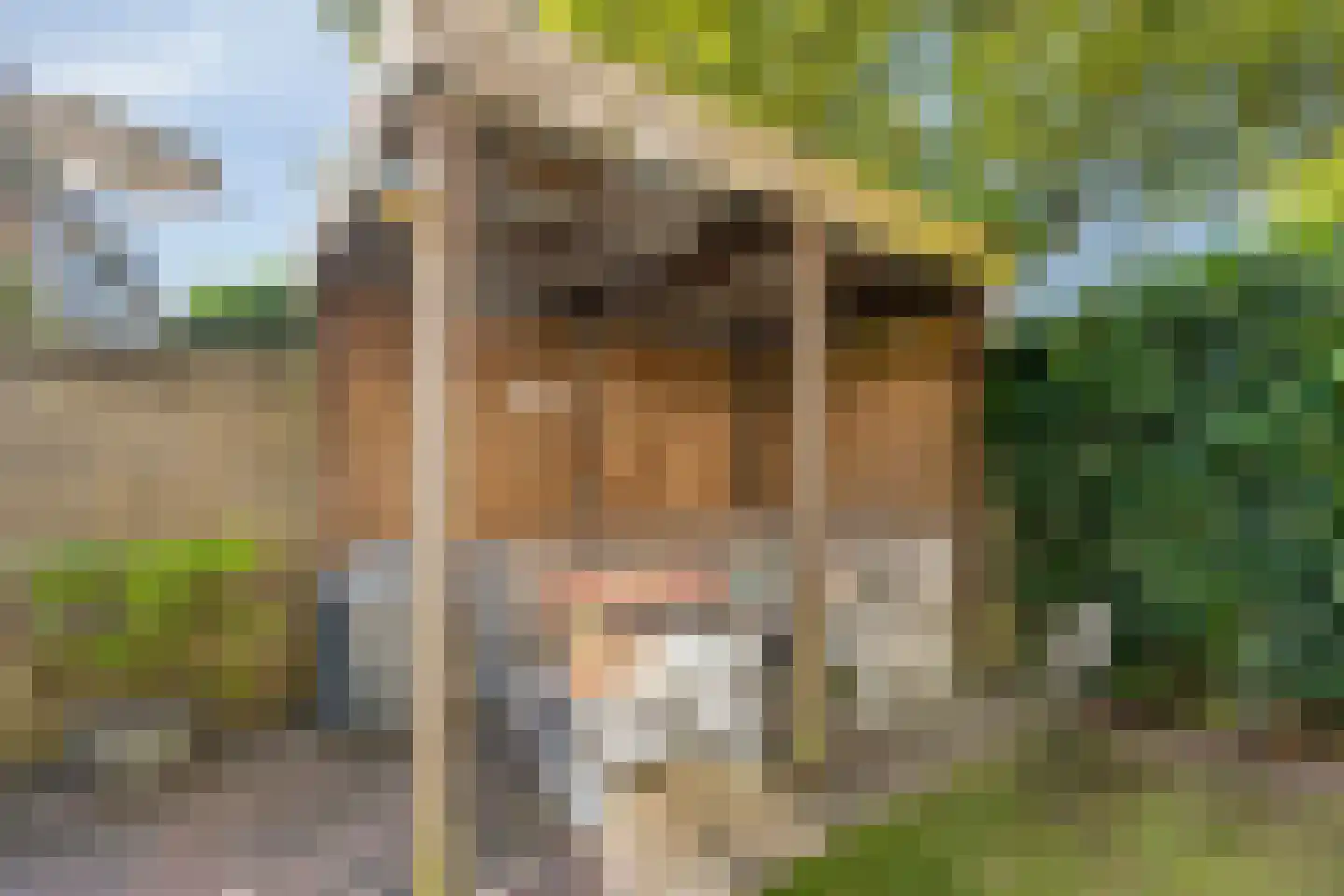 St Jansweg 21 Eindhoven thumbnail 46