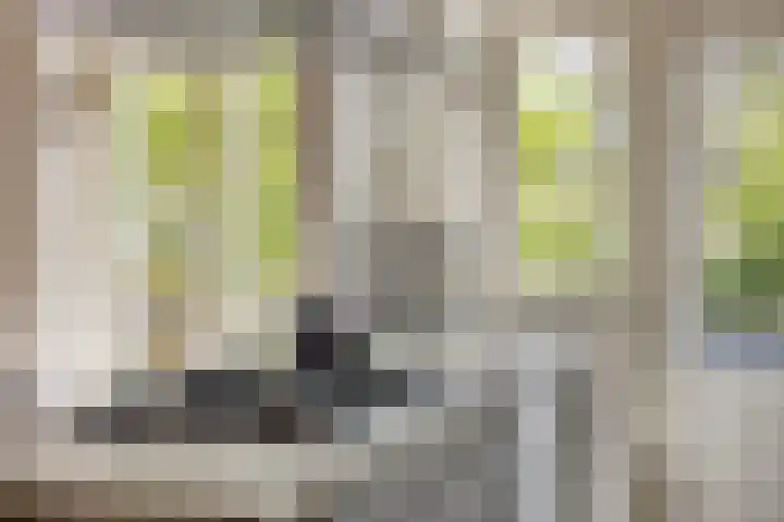 St Jansweg 31 Eindhoven thumbnail 11