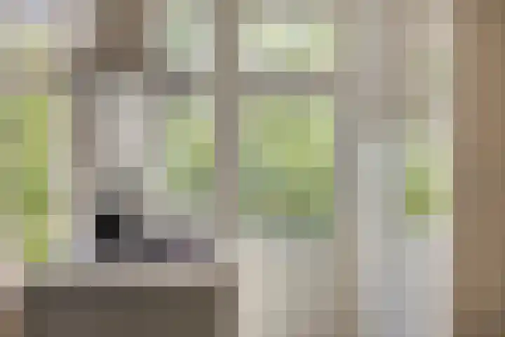 St Jansweg 31 Eindhoven thumbnail 12