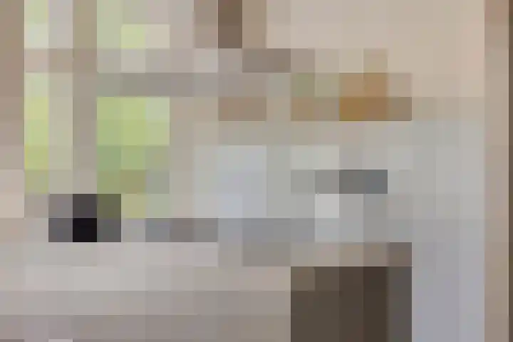 St Jansweg 31 Eindhoven thumbnail 13
