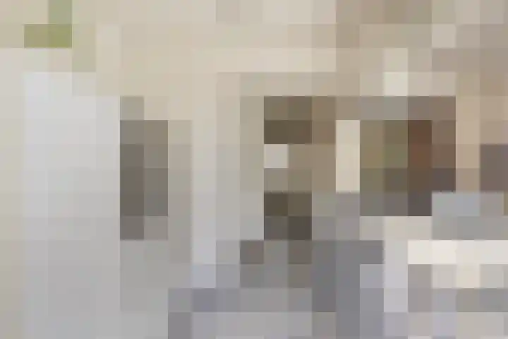 St Jansweg 31 Eindhoven thumbnail 15