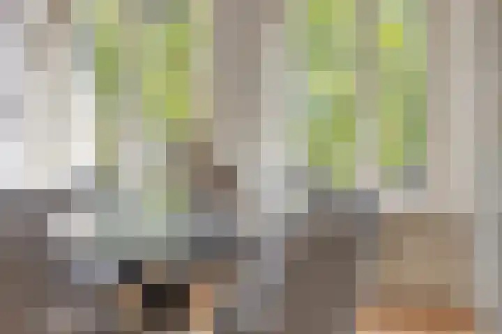 St Jansweg 31 Eindhoven thumbnail 18