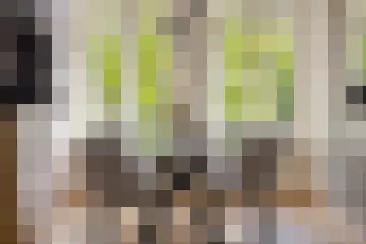 St Jansweg 31 Eindhoven thumbnail 19