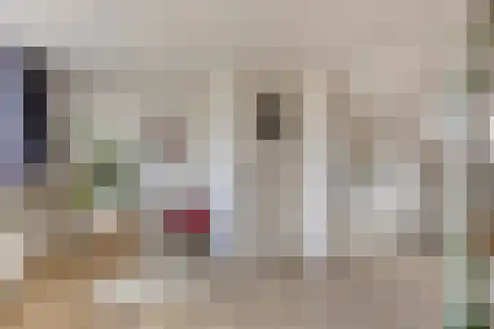 St Jansweg 31 Eindhoven thumbnail 43