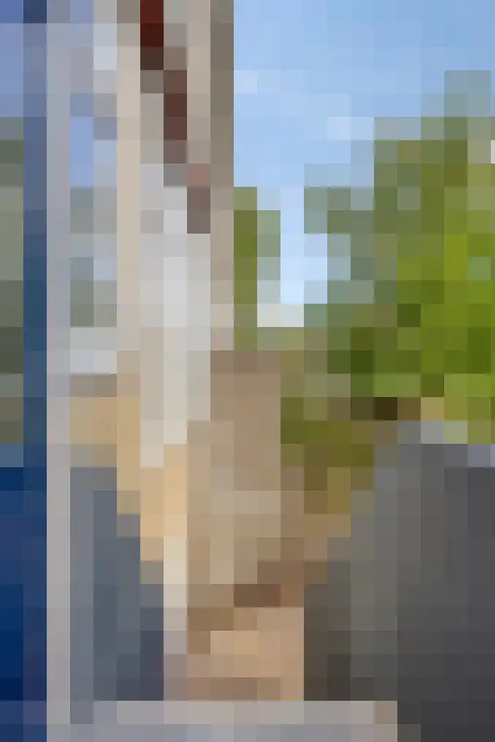 St Jansweg 31 Eindhoven thumbnail 44