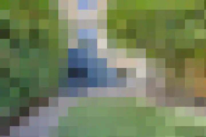St Jansweg 31 Eindhoven thumbnail 48