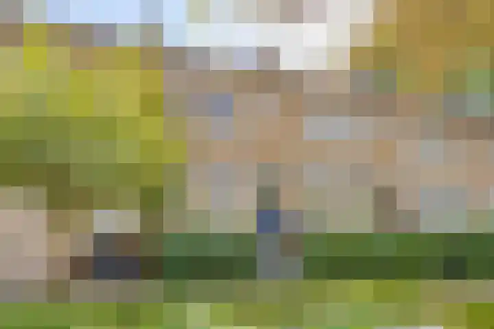 St Jansweg 31 Eindhoven thumbnail 5