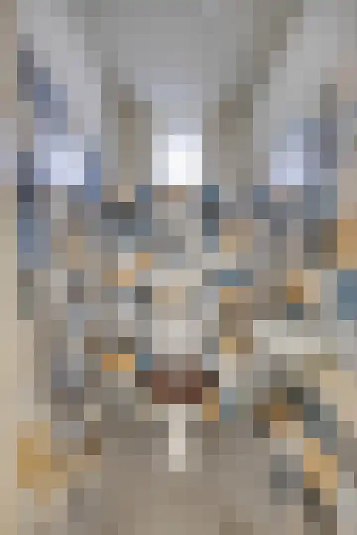 St Jansweg 31 Eindhoven thumbnail 50
