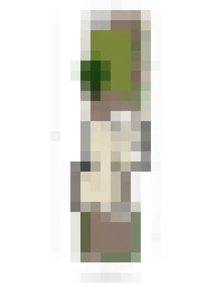 St Jansweg 31 Eindhoven thumbnail 63