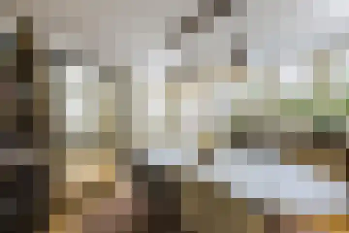 St Jansweg 9 Eindhoven thumbnail 12