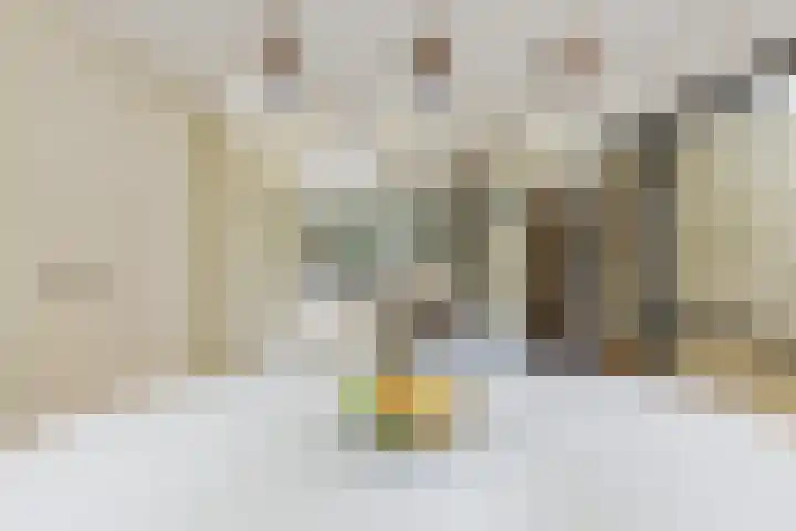 St Jansweg 9 Eindhoven thumbnail 13