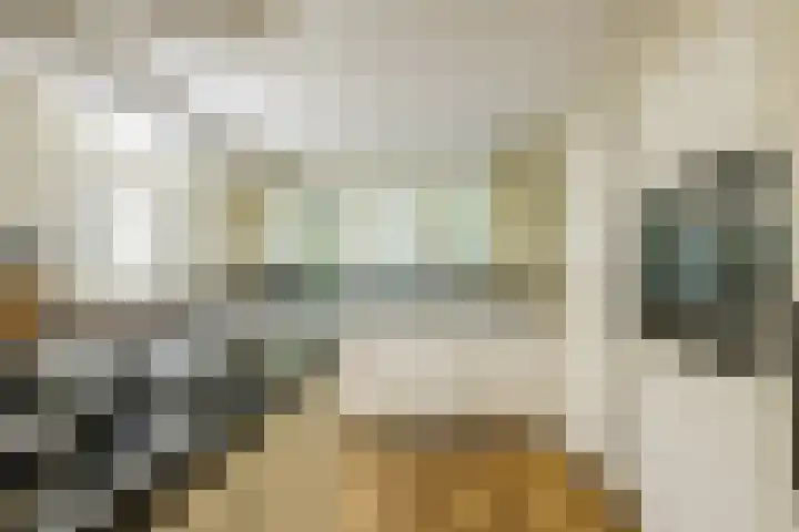 St Jansweg 9 Eindhoven thumbnail 14