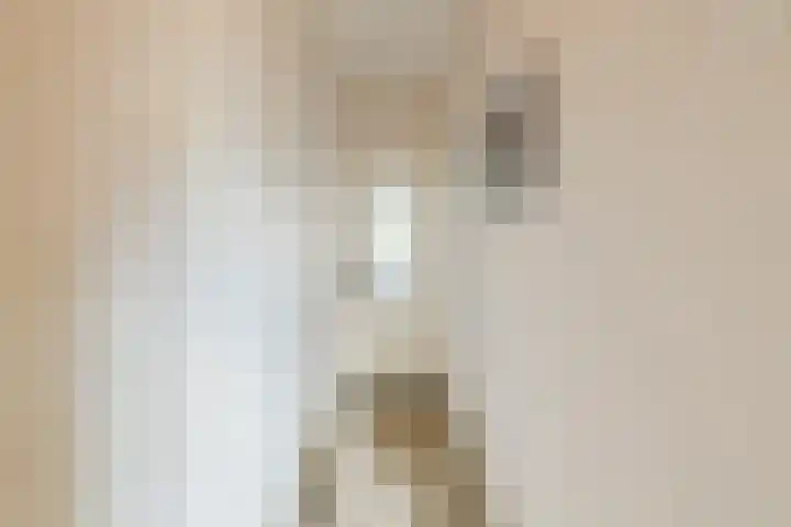 St Jansweg 9 Eindhoven thumbnail 20