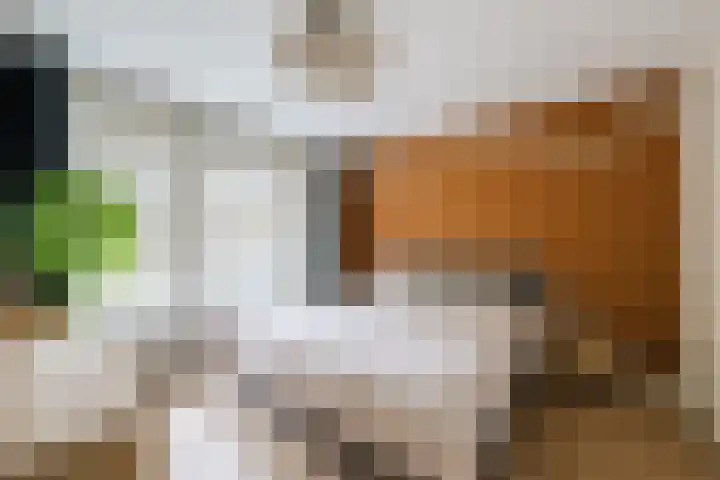 St Jansweg 9 Eindhoven thumbnail 23