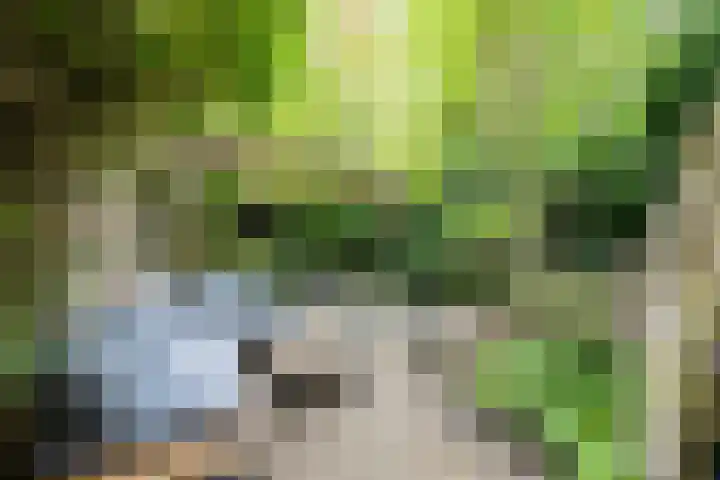 St Jansweg 9 Eindhoven thumbnail 33