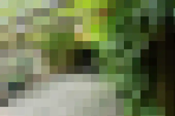 St Jansweg 9 Eindhoven thumbnail 34