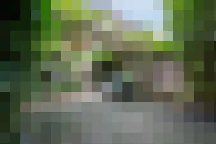 St Jansweg 9 Eindhoven thumbnail 35