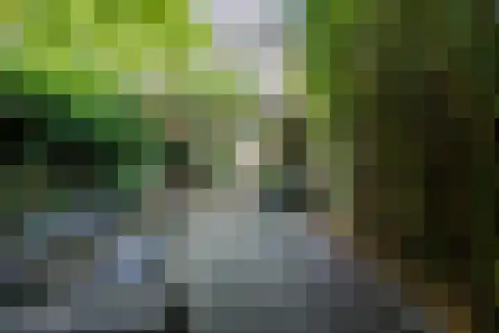 St Jansweg 9 Eindhoven thumbnail 36