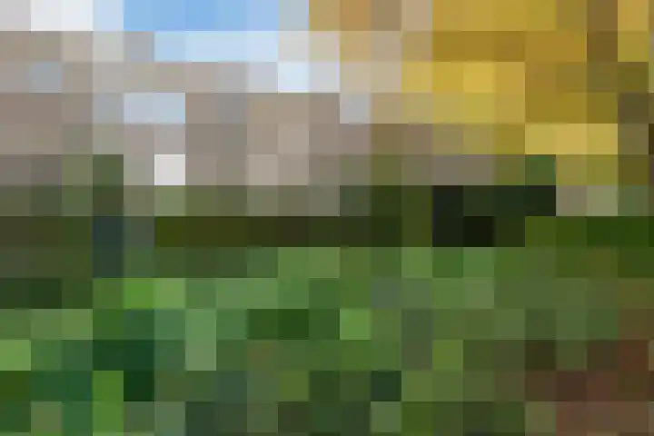 St Jansweg 9 Eindhoven thumbnail 37