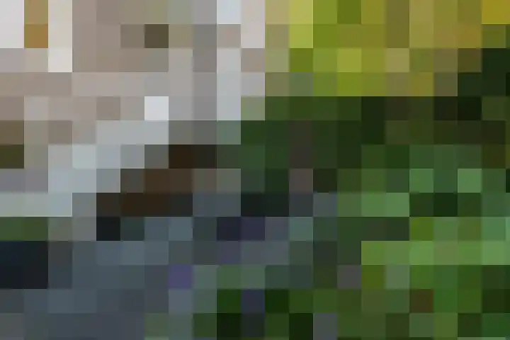 St Jansweg 9 Eindhoven thumbnail 38