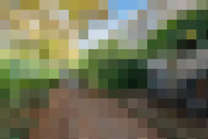 St Jansweg 9 Eindhoven thumbnail 39