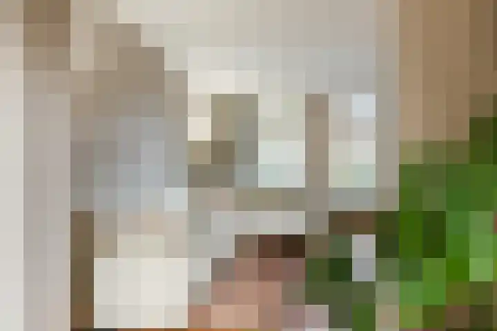 St Jansweg 9 Eindhoven thumbnail 4