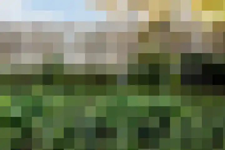 St Jansweg 9 Eindhoven thumbnail 40